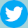 Twitter Share Button